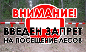 Внимание!