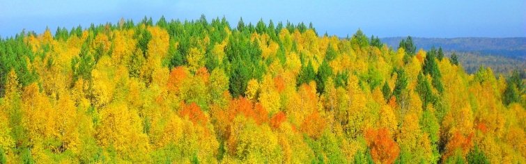 Природа родного края