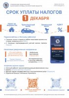 Срок уплаты налогов - 1 декабря!