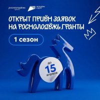 Росмолодёжь. Гранты 1 сезон