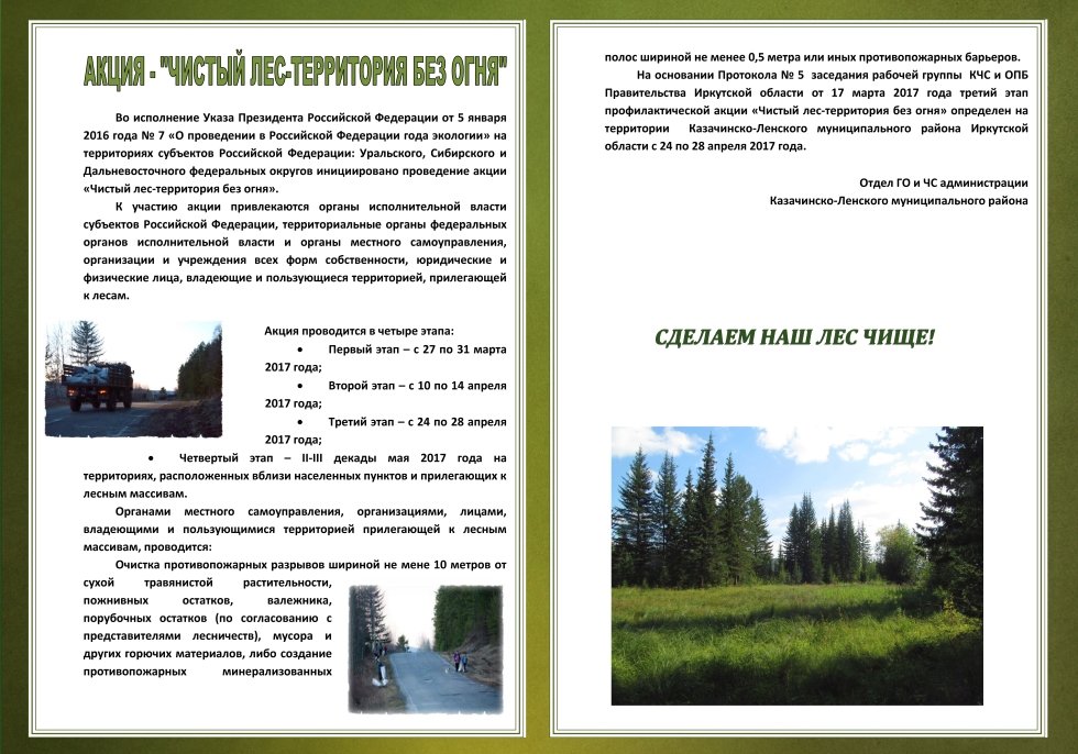 Акция Чистый лес