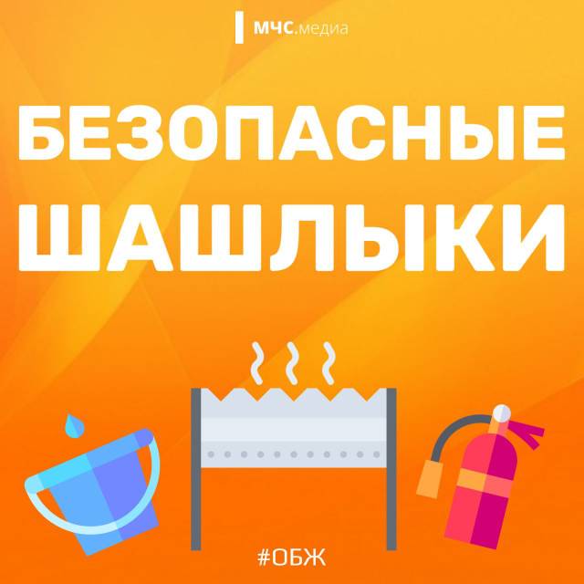 Безопасные шашлыки